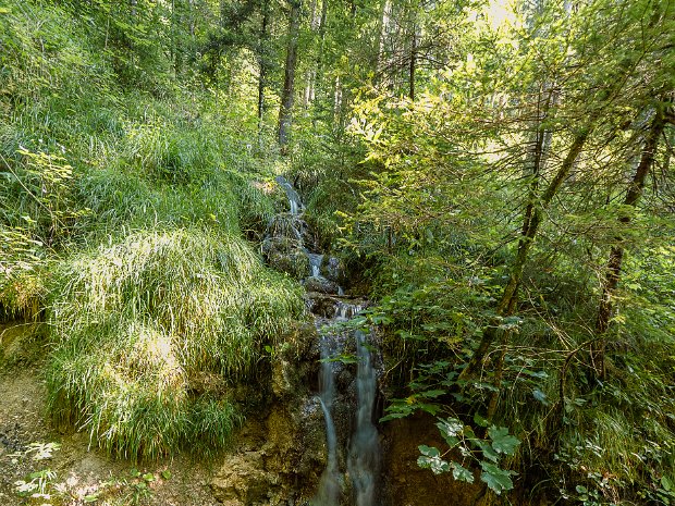 scheffau